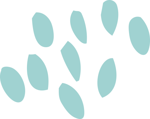 DM_20250603105437_002.png