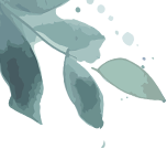DM_20250605153719_001.png